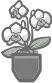 Potted Orchid