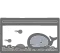 Baby Whale Aquarium