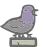 Taxidermy Pigeon