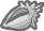 Conch Shell