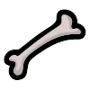 Human Leg Bone